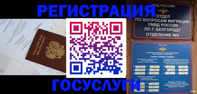 временная прописка в Шахунье
